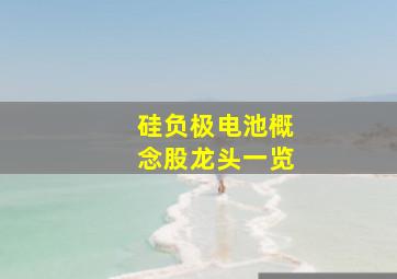 硅负极电池概念股龙头一览