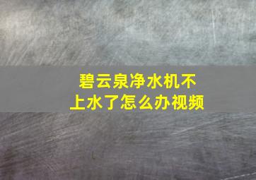 碧云泉净水机不上水了怎么办视频