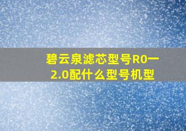 碧云泉滤芯型号R0一2.0配什么型号机型