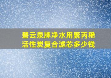 碧云泉牌净水用聚丙稀活性炭复合滤芯多少钱