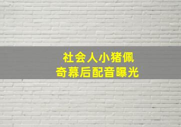 社会人小猪佩奇幕后配音曝光