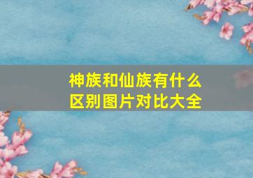 神族和仙族有什么区别图片对比大全