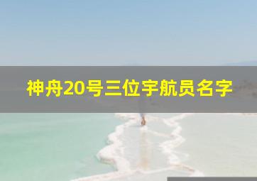 神舟20号三位宇航员名字