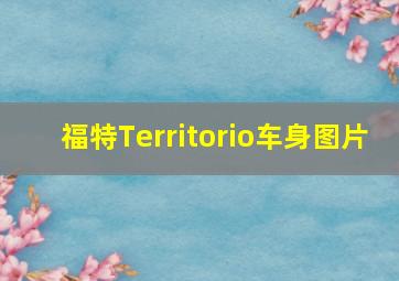 福特Territorio车身图片