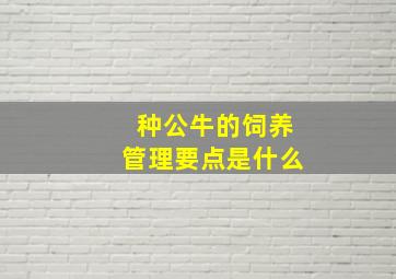 种公牛的饲养管理要点是什么