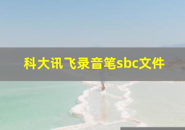 科大讯飞录音笔sbc文件