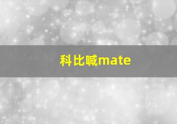 科比喊mate