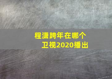 程潇跨年在哪个卫视2020播出