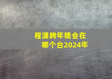 程潇跨年晚会在哪个台2024年