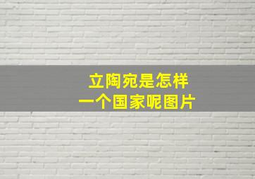 立陶宛是怎样一个国家呢图片