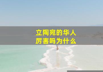 立陶宛的华人厉害吗为什么