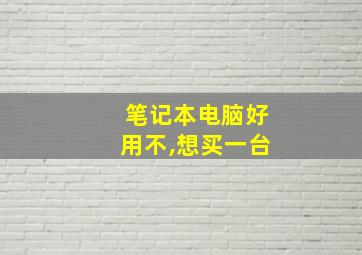 笔记本电脑好用不,想买一台