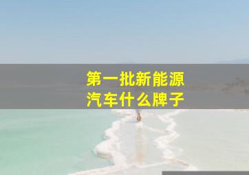 第一批新能源汽车什么牌子