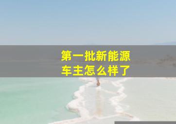 第一批新能源车主怎么样了