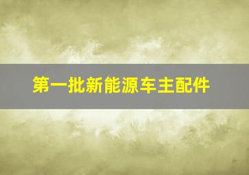 第一批新能源车主配件