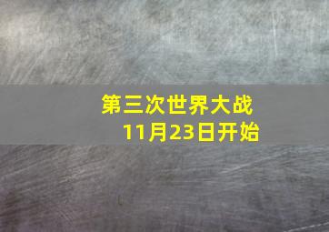 第三次世界大战11月23日开始