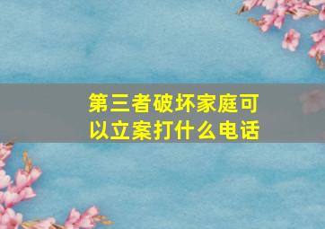 第三者破坏家庭可以立案打什么电话