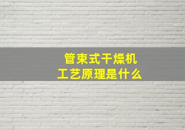 管束式干燥机工艺原理是什么