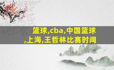 篮球,cba,中国篮球,上海,王哲林比赛时间