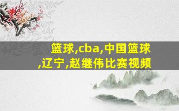 篮球,cba,中国篮球,辽宁,赵继伟比赛视频