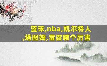 篮球,nba,凯尔特人,塔图姆,雷霆哪个厉害