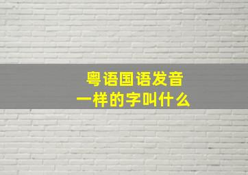 粤语国语发音一样的字叫什么