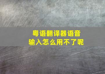 粤语翻译器语音输入怎么用不了呢