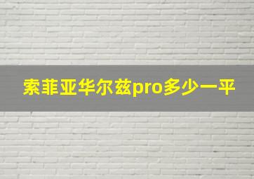 索菲亚华尔兹pro多少一平