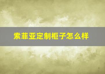 索菲亚定制柜子怎么样