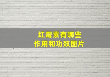 红霉素有哪些作用和功效图片