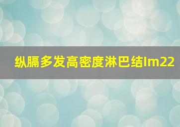 纵膈多发高密度淋巴结Im22