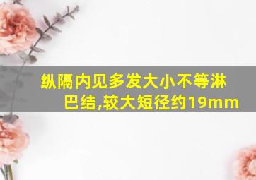 纵隔内见多发大小不等淋巴结,较大短径约19mm