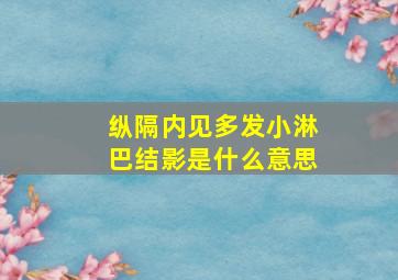 纵隔内见多发小淋巴结影是什么意思