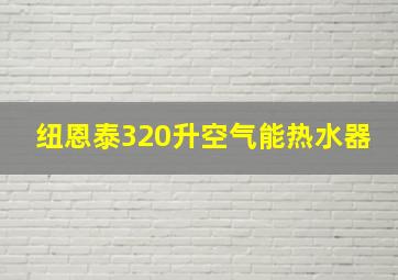 纽恩泰320升空气能热水器