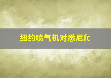 纽约喷气机对悉尼fc