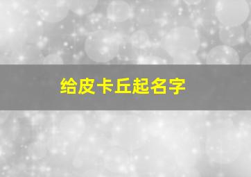 给皮卡丘起名字