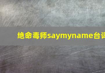 绝命毒师saymyname台词