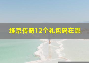 维京传奇12个礼包码在哪