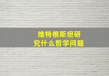 维特根斯坦研究什么哲学问题