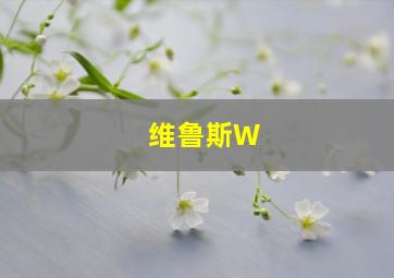 维鲁斯W