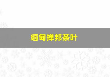 缅甸掸邦茶叶