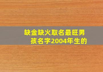 缺金缺火取名最旺男孩名字2004年生的