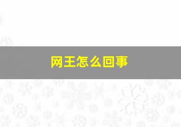 网王怎么回事