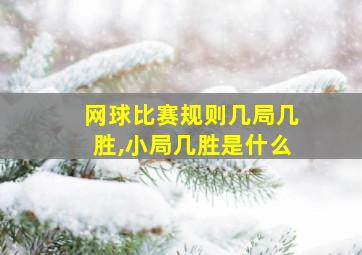 网球比赛规则几局几胜,小局几胜是什么