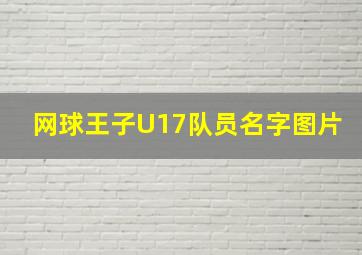 网球王子U17队员名字图片