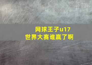 网球王子u17世界大赛谁赢了啊