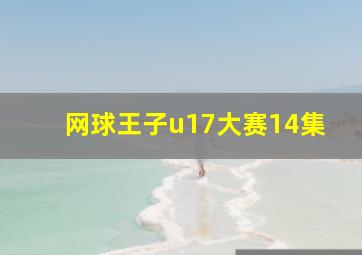 网球王子u17大赛14集