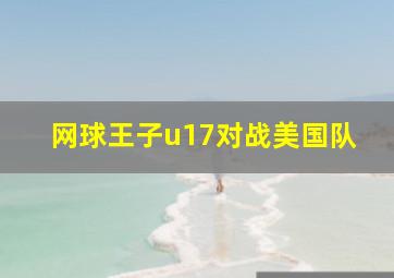 网球王子u17对战美国队