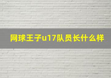 网球王子u17队员长什么样