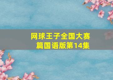 网球王子全国大赛篇国语版第14集